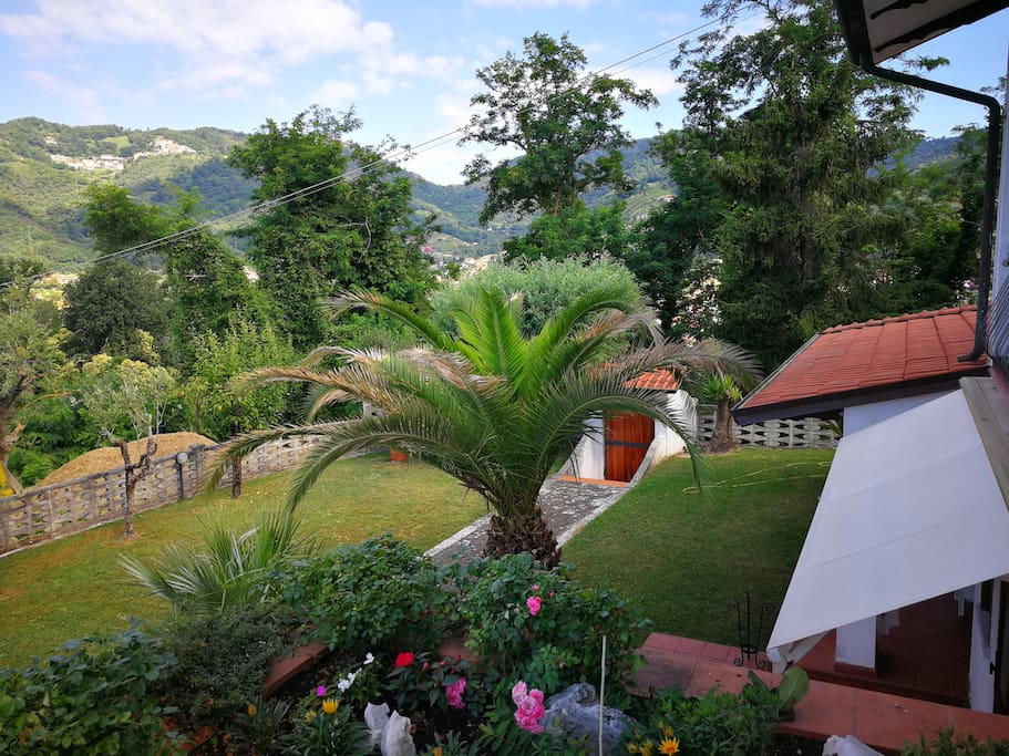 Giardino vista dall'alto