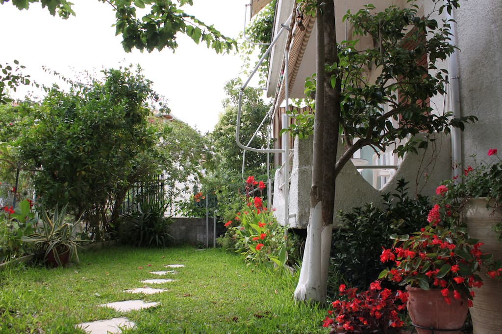 The apartment from the garden