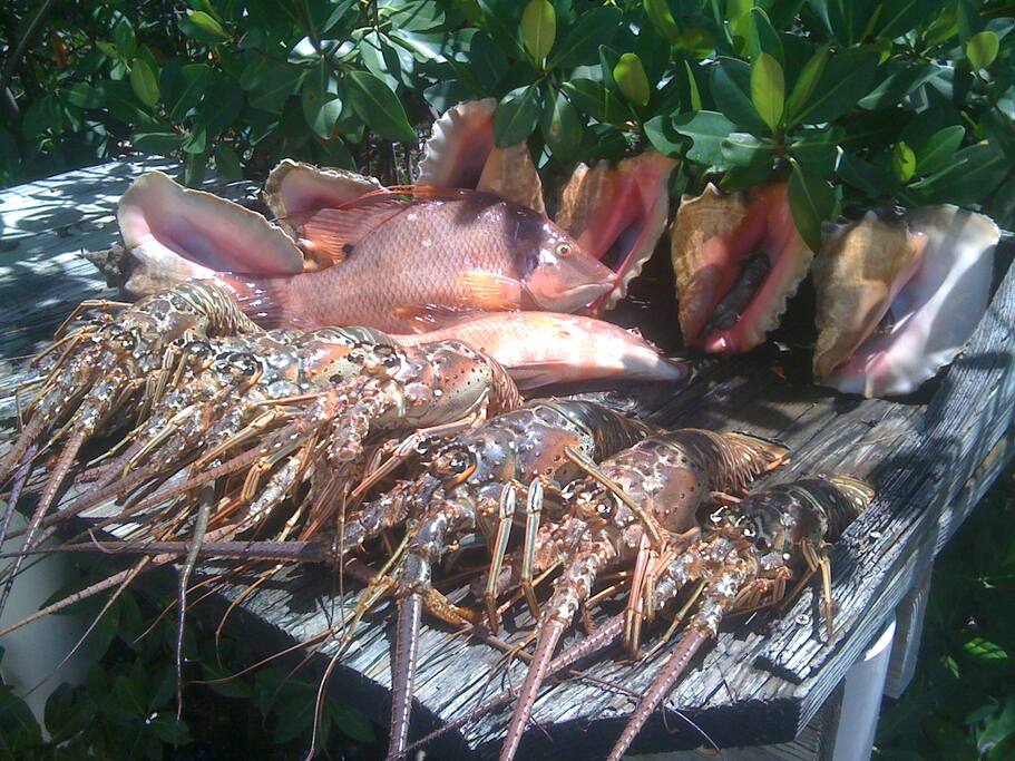 Dinner