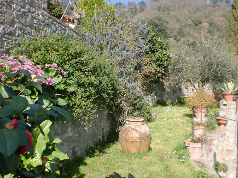 Scorcio del giardino