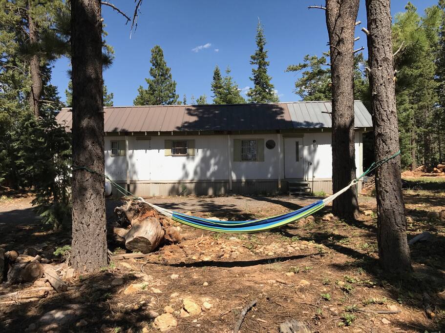 Lay in the hammock under the trees