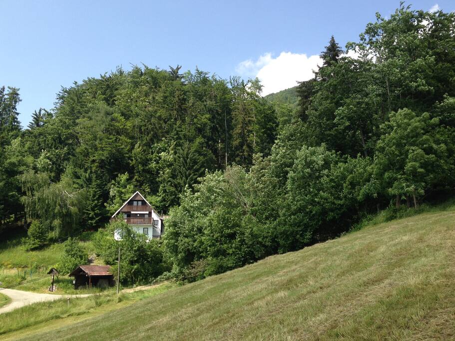 View of the house