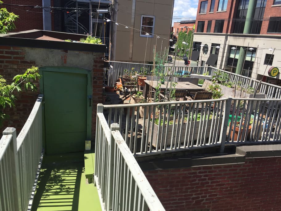 Experimental organic urban garden and teak table for eating