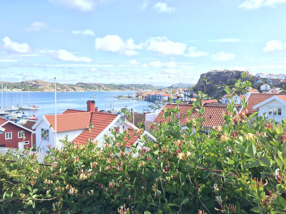 Utsikt mot fjorden från uteplatsen på framsidan.