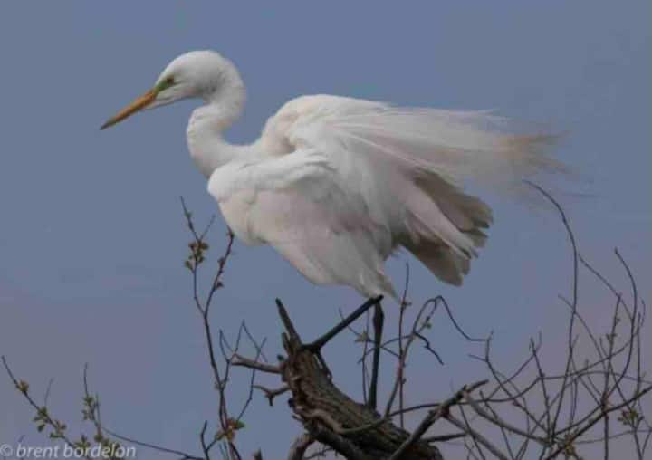 6 Best Cabin Rentals In Marksville, Louisiana Updated 2024 Trip101