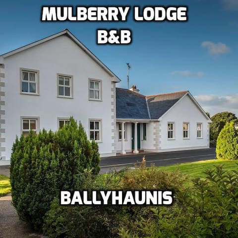 Mulberry Lodge B&B Ballyhaunis