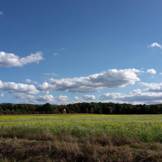 Umgebungsbilder