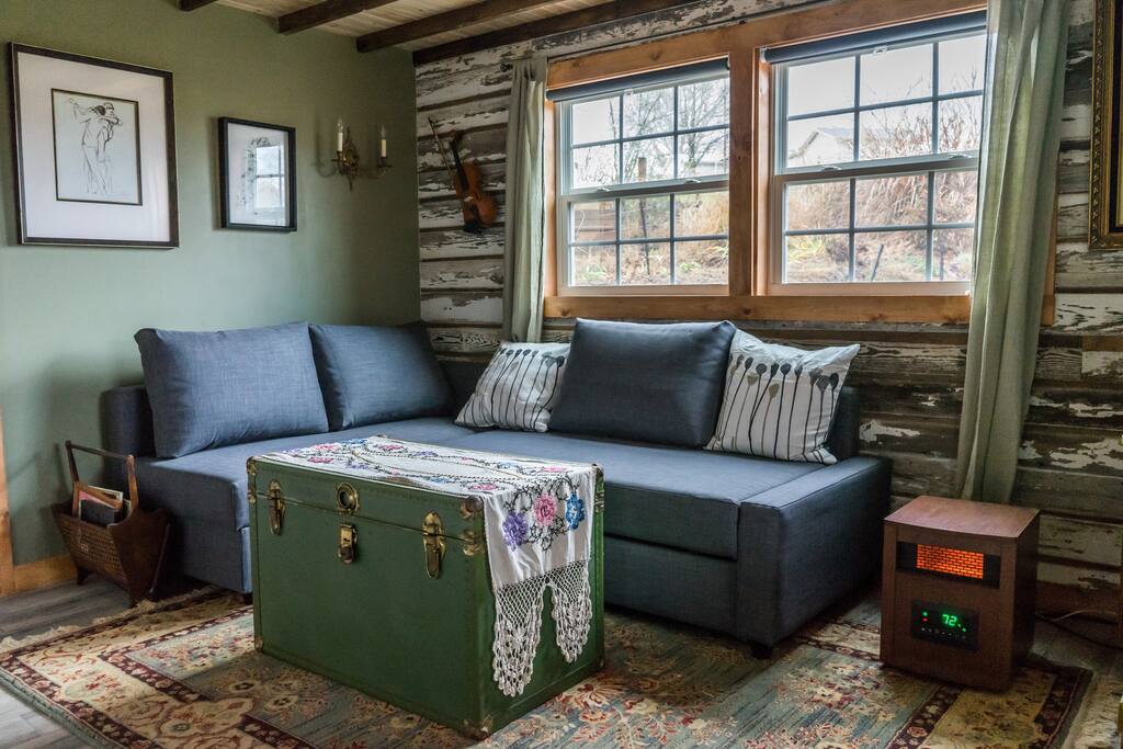 Living room and sofa bed #3