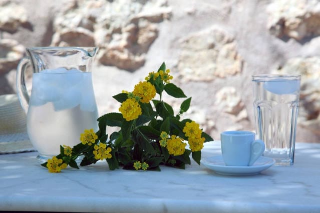 A table setting features a clear pitcher filled with water and ice, accompanied by a small white cup and saucer. A glass of water stands nearby. Bright yellow flowers are arranged artfully alongside the pitcher, creating a fresh and inviting scene.