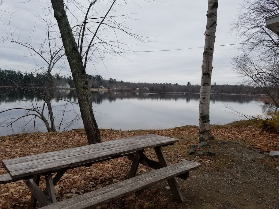 Great view of the cove and start of the wildlife filled wetland in the distance.