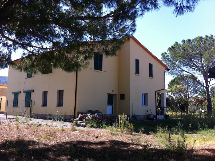 Rear view of the house