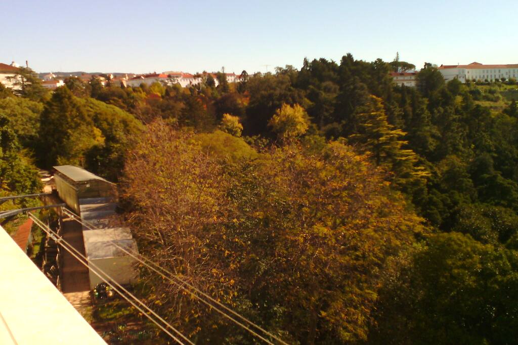 Vista/View