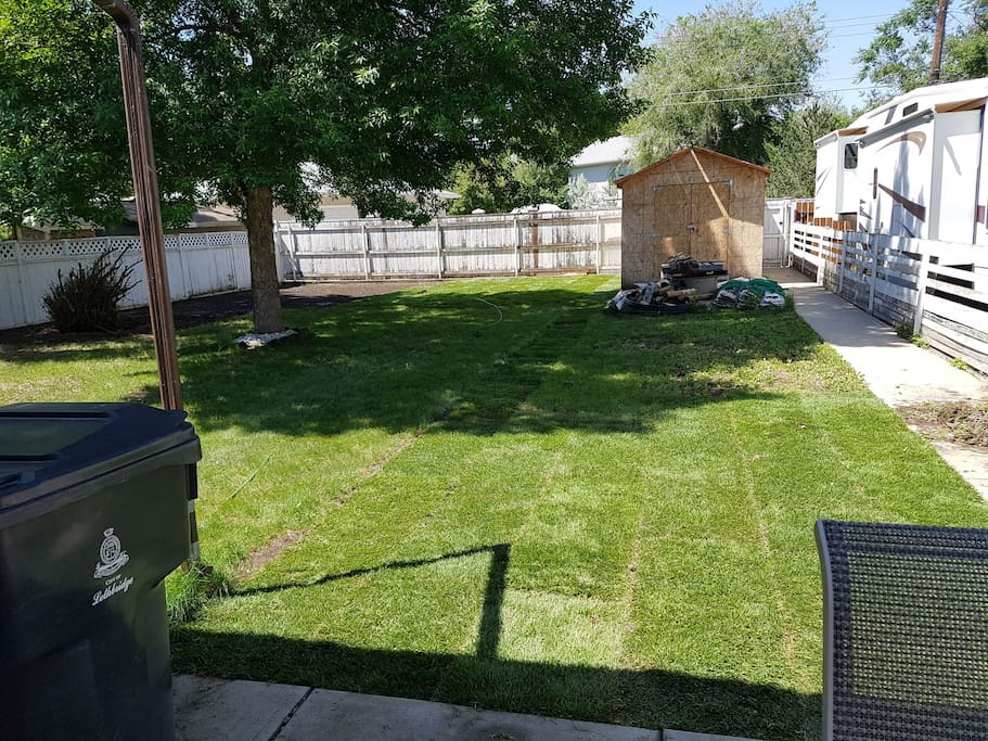 Back yard. In the process of laying sod.