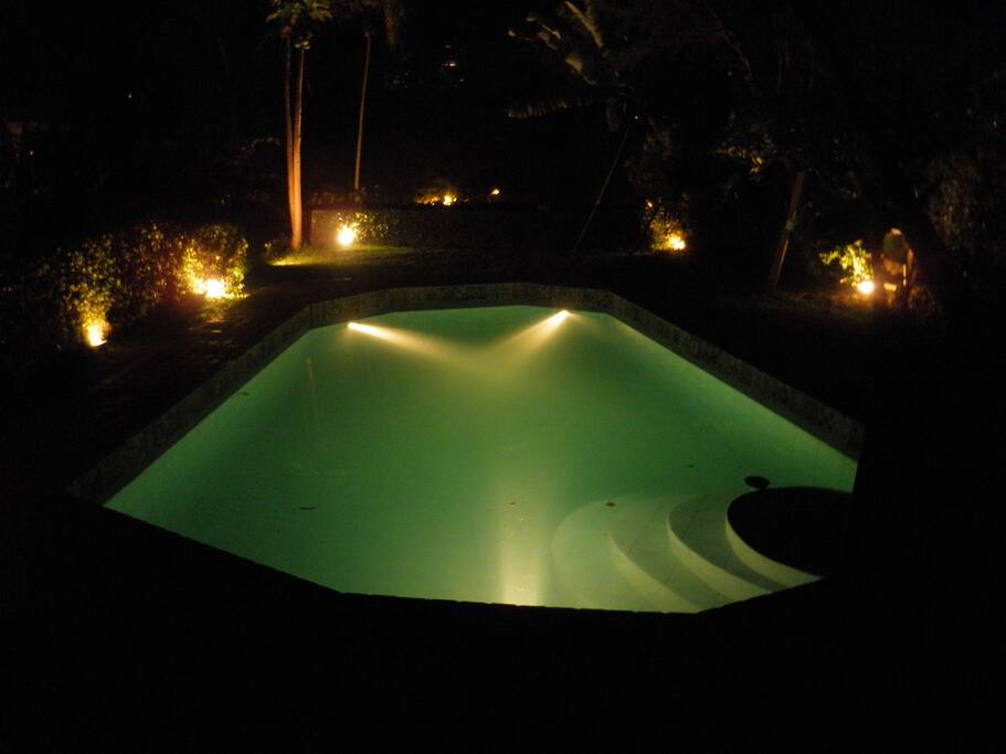 jardim à noite