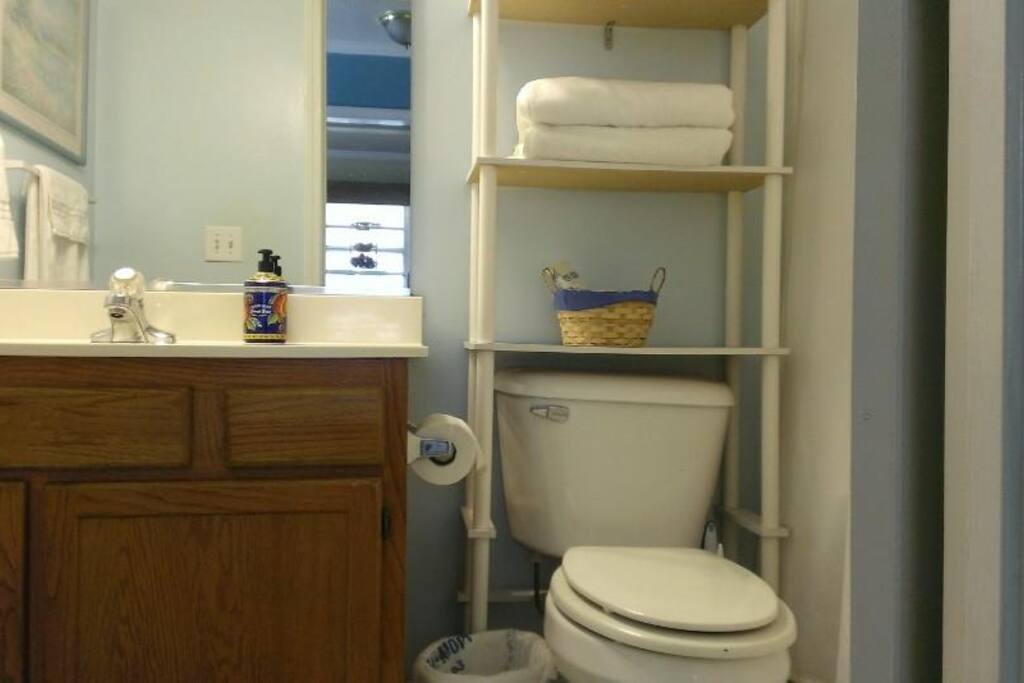 Guest Bathroom