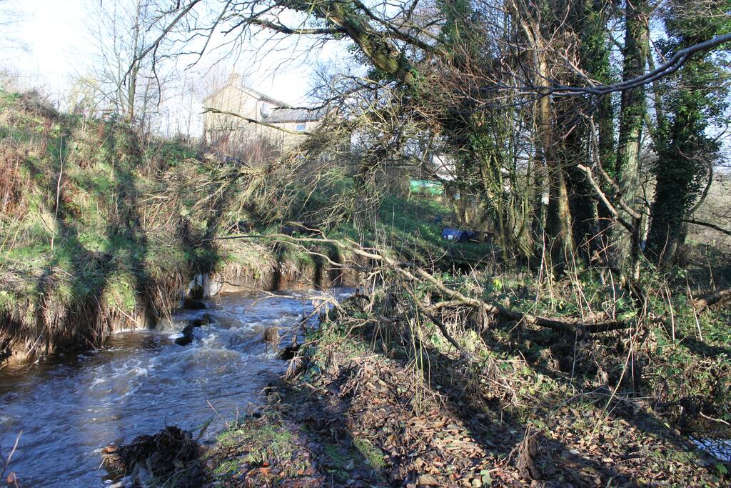 STREAM AT THE BARN