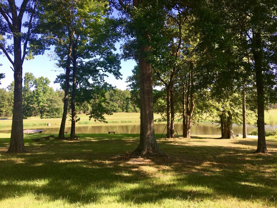 View from the front porch!