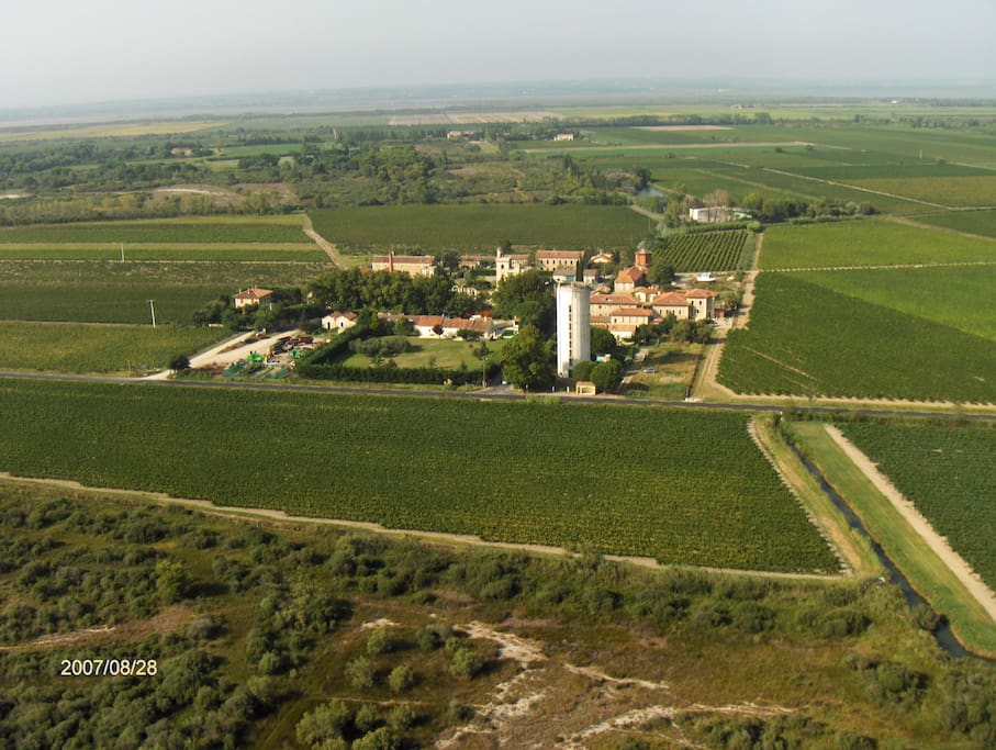 Montcalm, au milieu des vignes