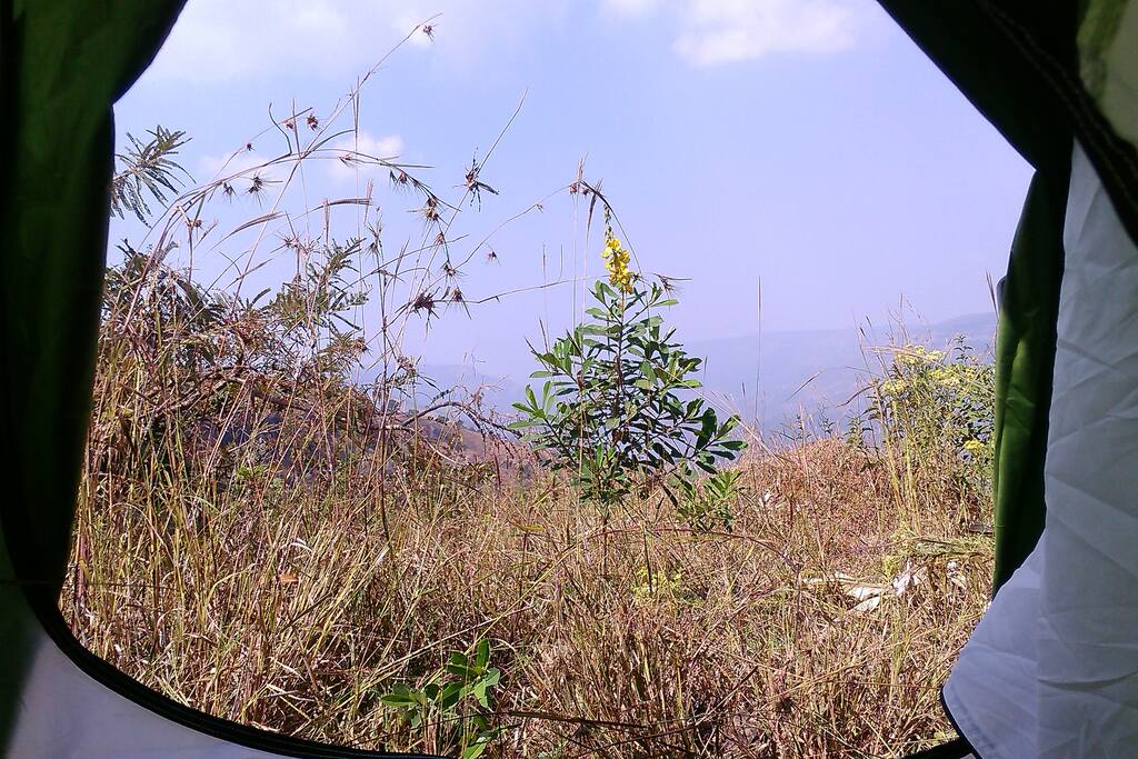entrance view 2.