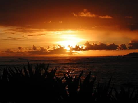 Top Airbnb: Poipu Oceanfront Dream Getaway at Kuhio Shores in Poipu