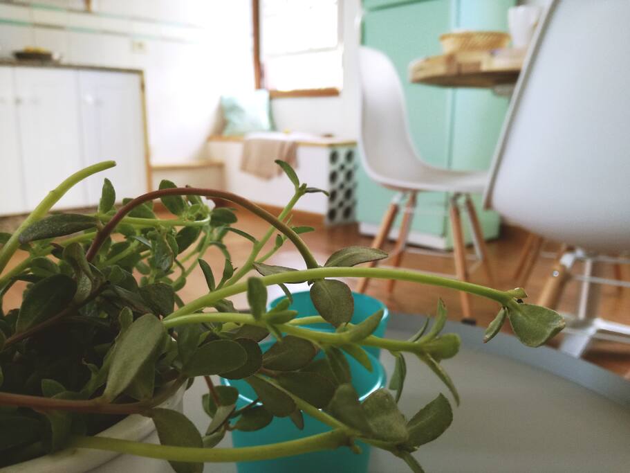 Una estancia práctica y multifuncional: cocina, comedor y salón, todo en uno.