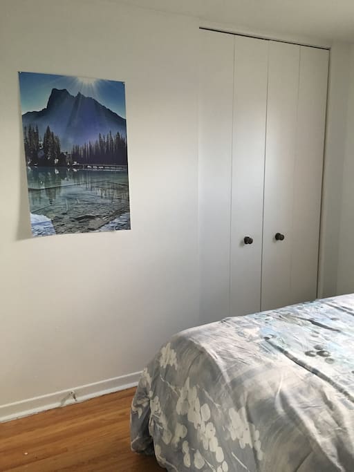 Large closet with dresser