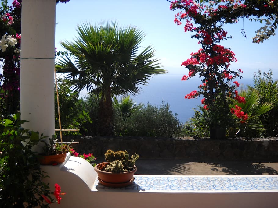 the breakfast terrace 2