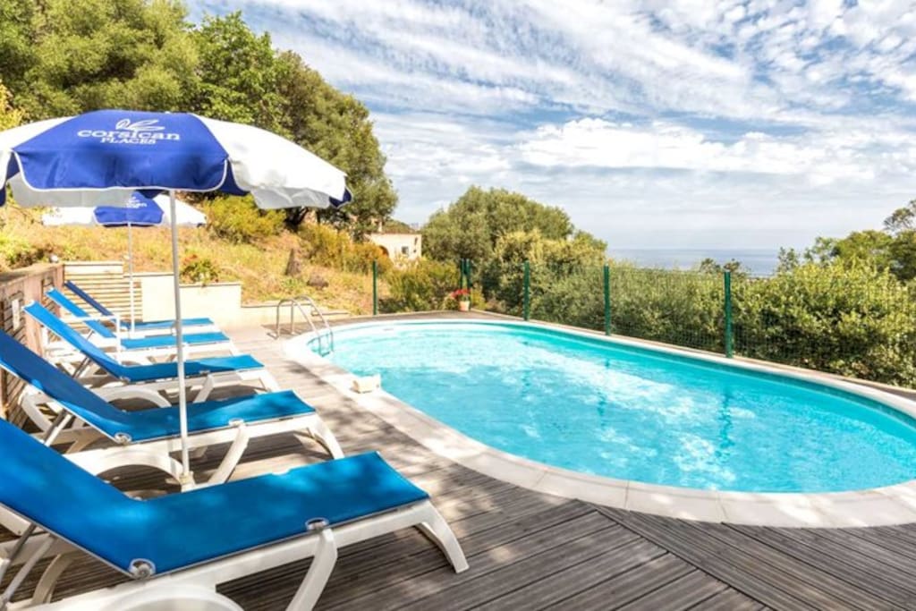 Piscine et la maison en perspective