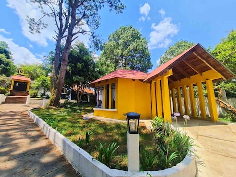Charming house with private garden