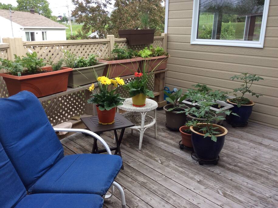 La partie "jardin" des herbes sur le patio