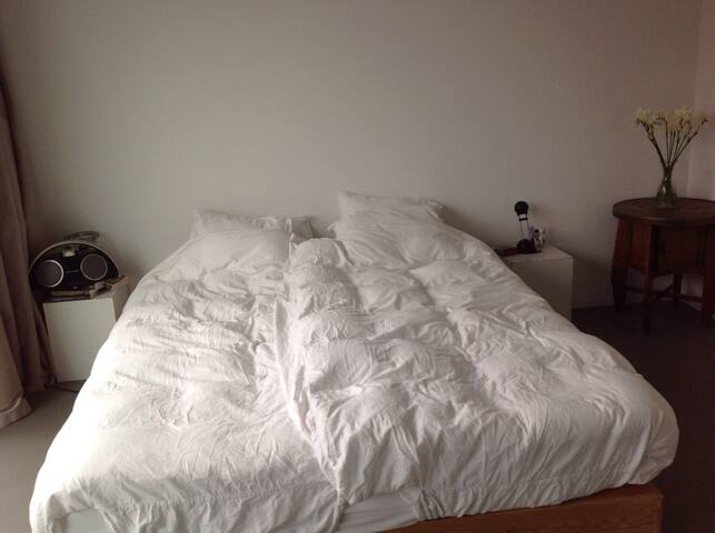 Beautiful spacey house at the Amstel near station gallery image 5