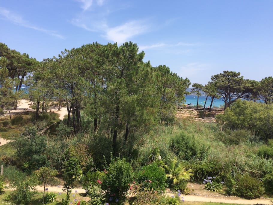 Vue du balcon, à gauche le chemin pour accéder à la plage