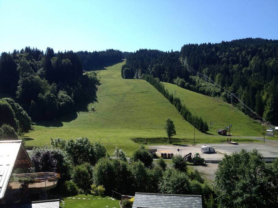 View in the Summer from the Balcony