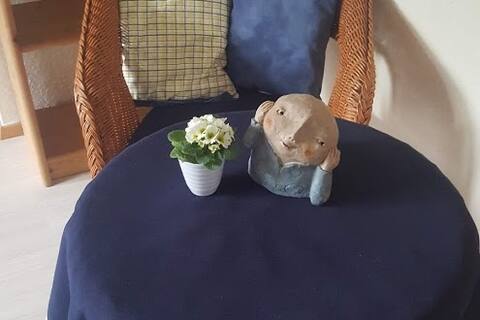 Apartment  Hannes - zentral  und gemütlich