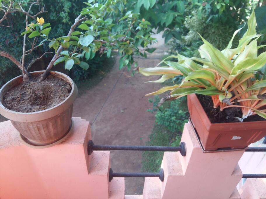 view from balcony