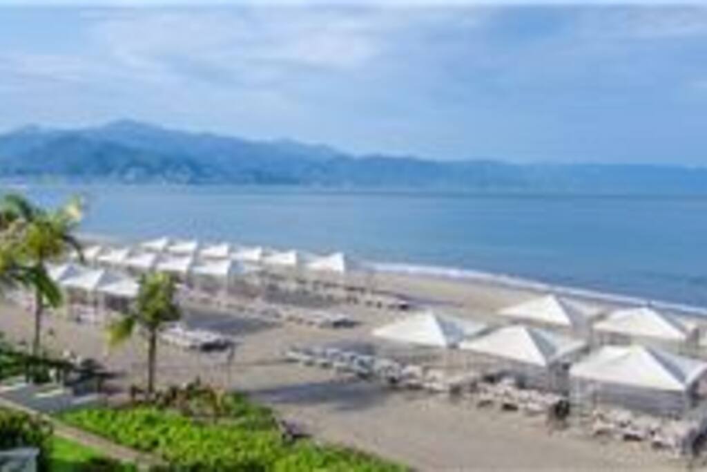 Ocean Front
