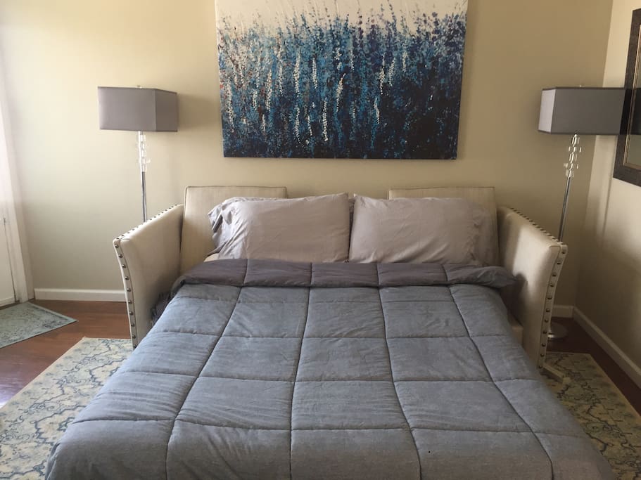 Pull out queen sofa in living room