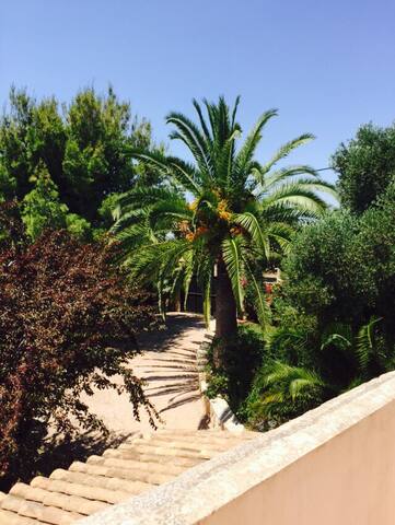 Modern and Charming Pool Finca near Palma gallery image 3