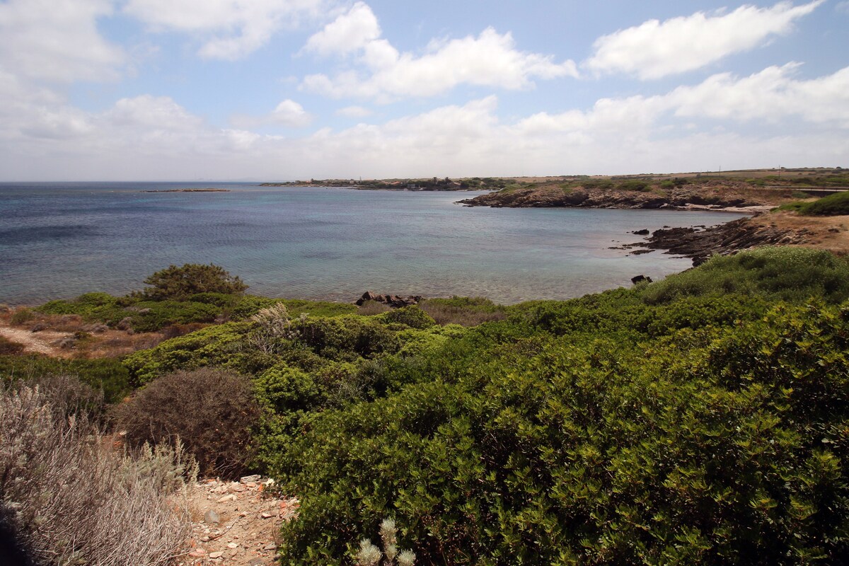 A lush coastline is visible, featuring vibrant green vegetation along the rocky shore. The calm waters of the Gulf of Asinara reflect the sky, with gentle clouds overhead. The scenery encompasses both land and sea, highlighting the natural beauty of the surrounding area.