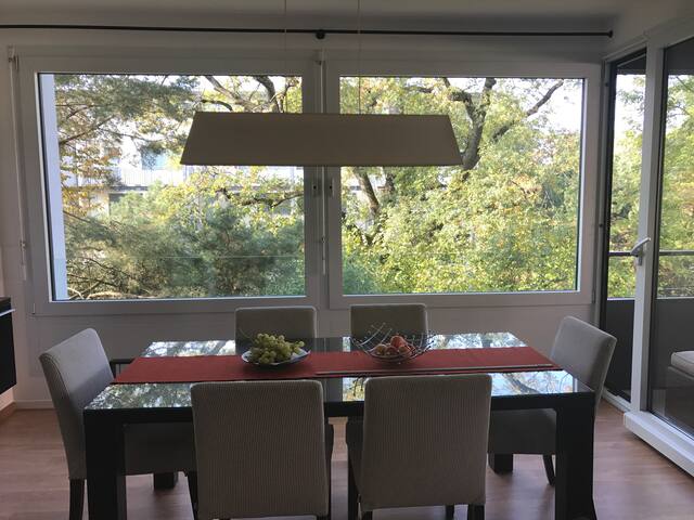 Magnifique appartement lumineux de 150m2 à Vésenaz