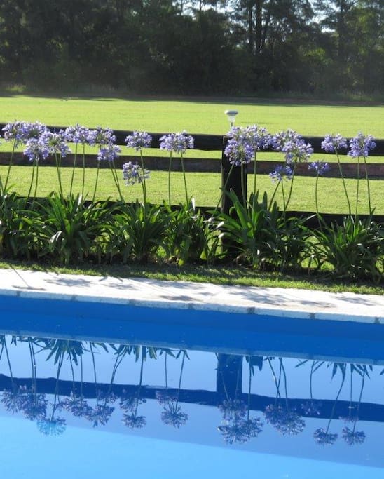 Private pool overlooking the polo pitch