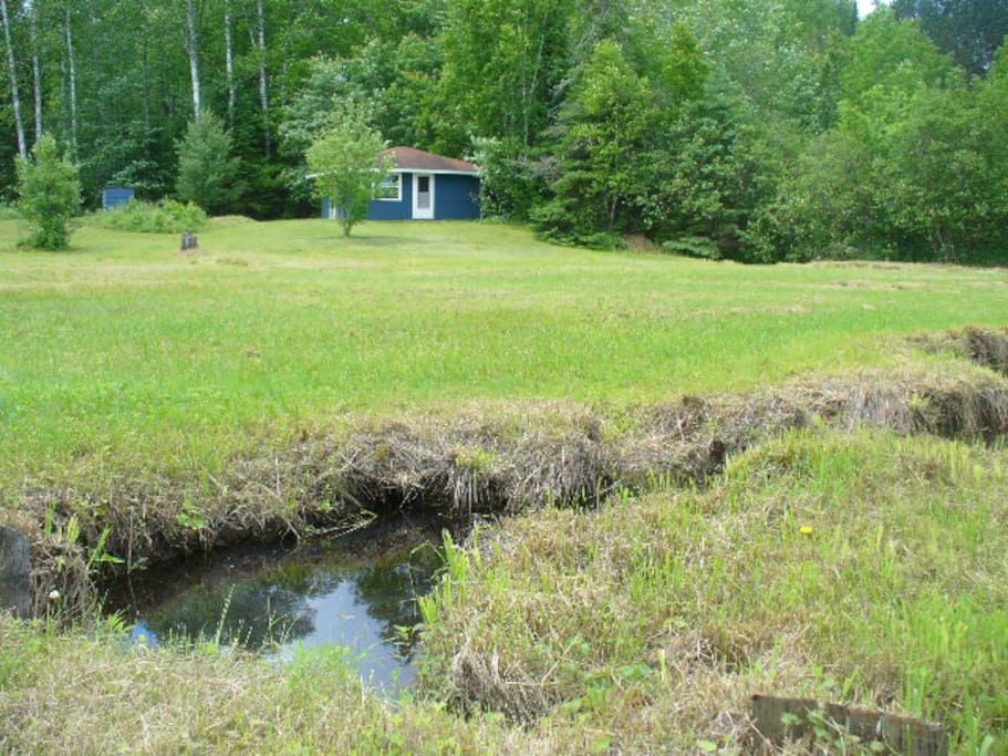 View of creek and cabin
