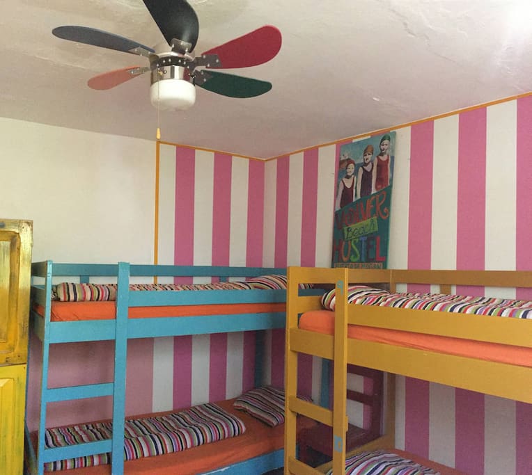 6 bed female dorm