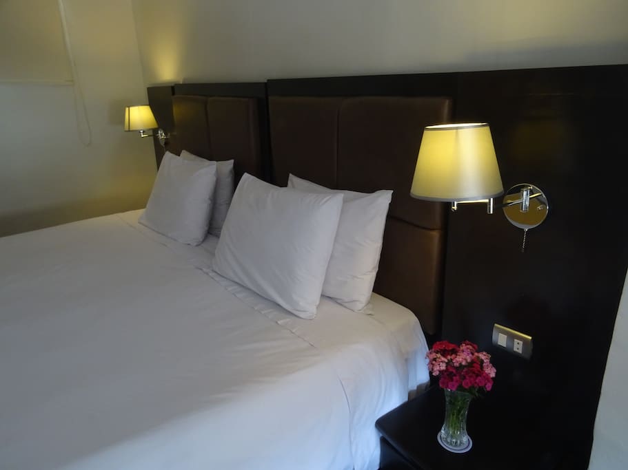 Main room - king bed and single bed