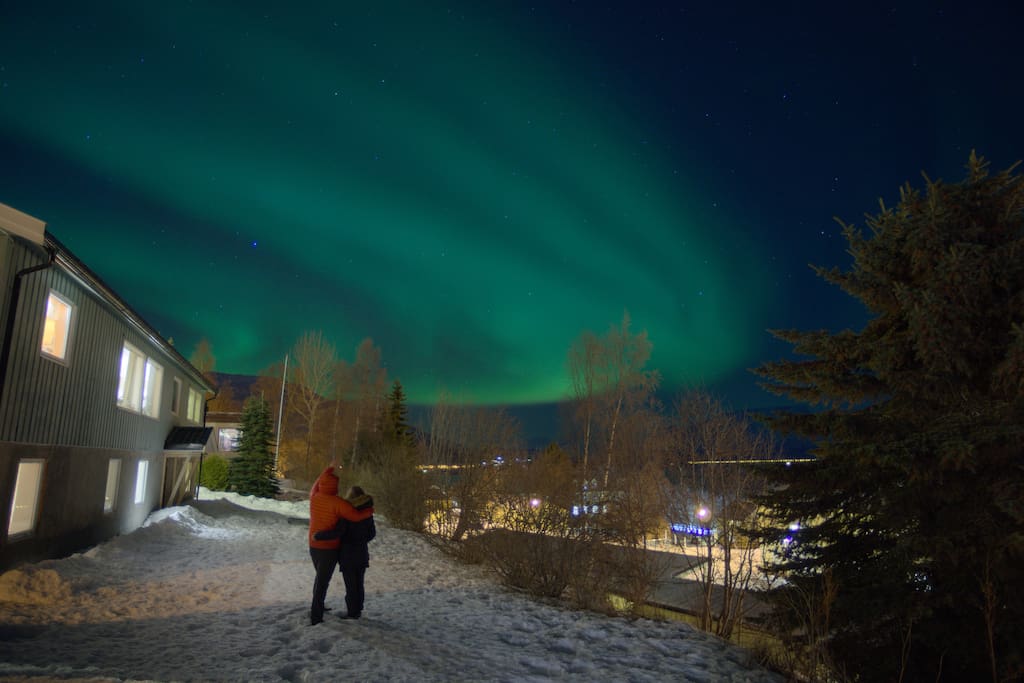 Northern Lights in the garden