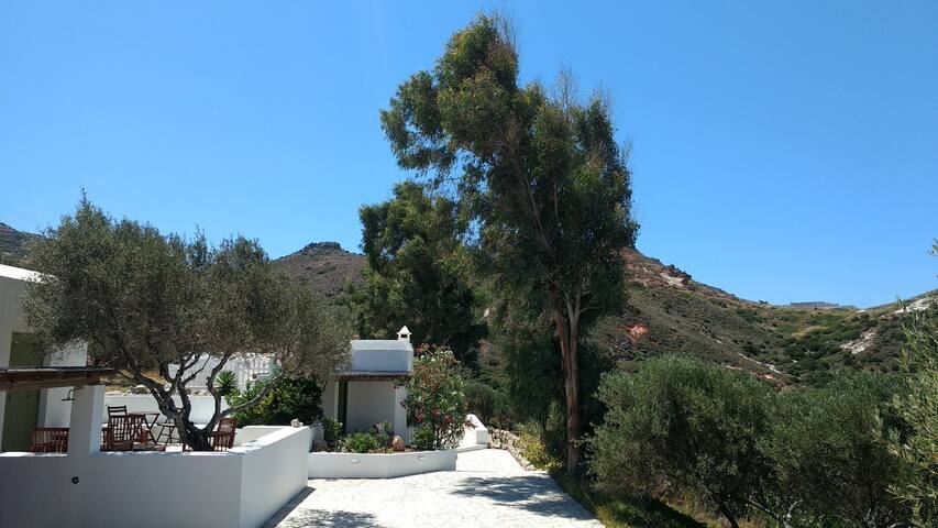 Beautiful beach house and cottage by the sea. gallery image 3