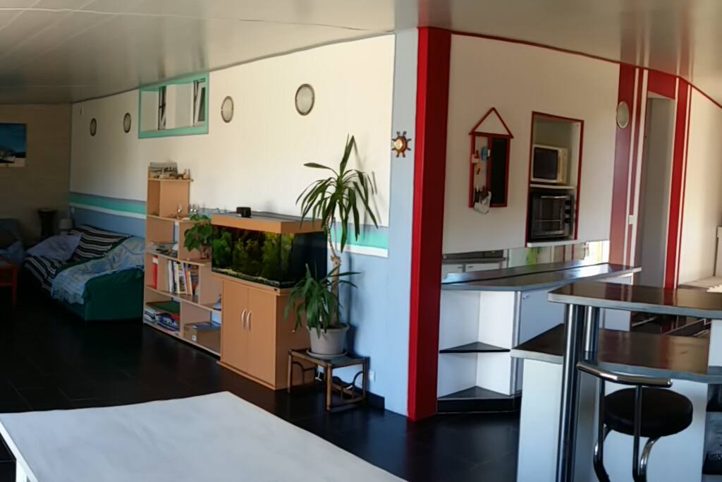 Salon-séjour-cuisine