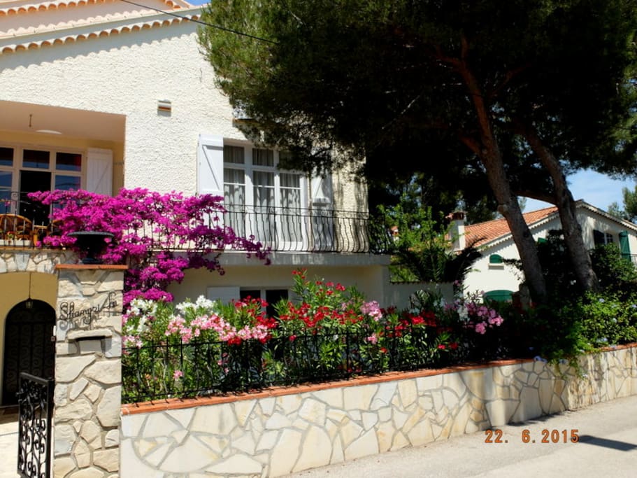 La terrasse de l'appartement bien caché par les lauriers en fleurs (vue de la rue)