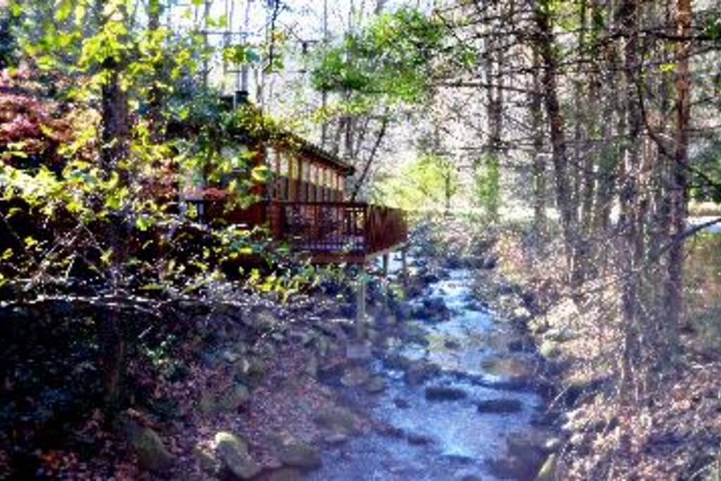 This cabin is a rare find.