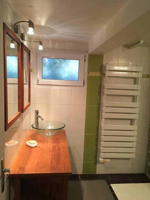 Salle de bain avec douche et toilette